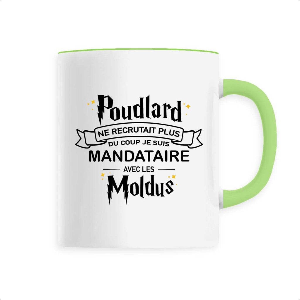 Je suis Mandataire avec les moldus