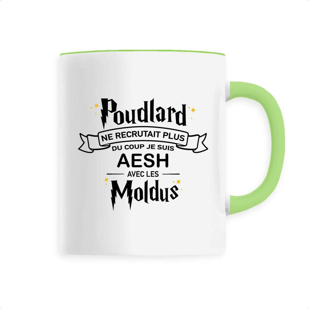 Je suis AESH avec les moldus