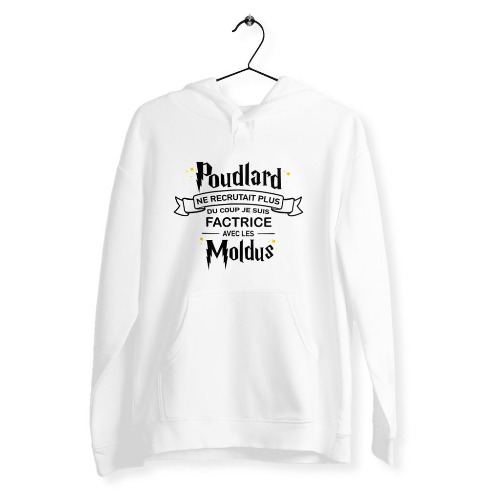 Je suis factrice avec les moldus