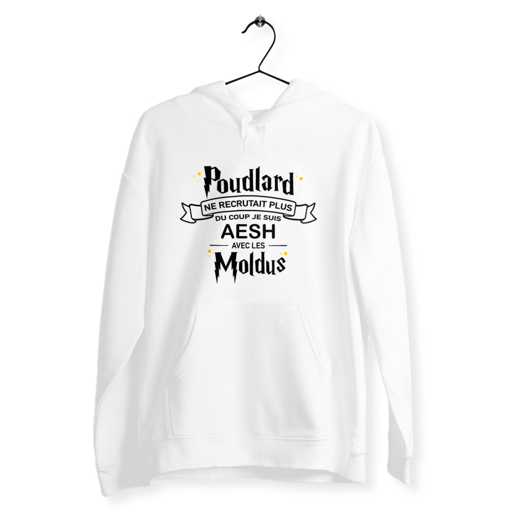 Je suis AESH avec les moldus