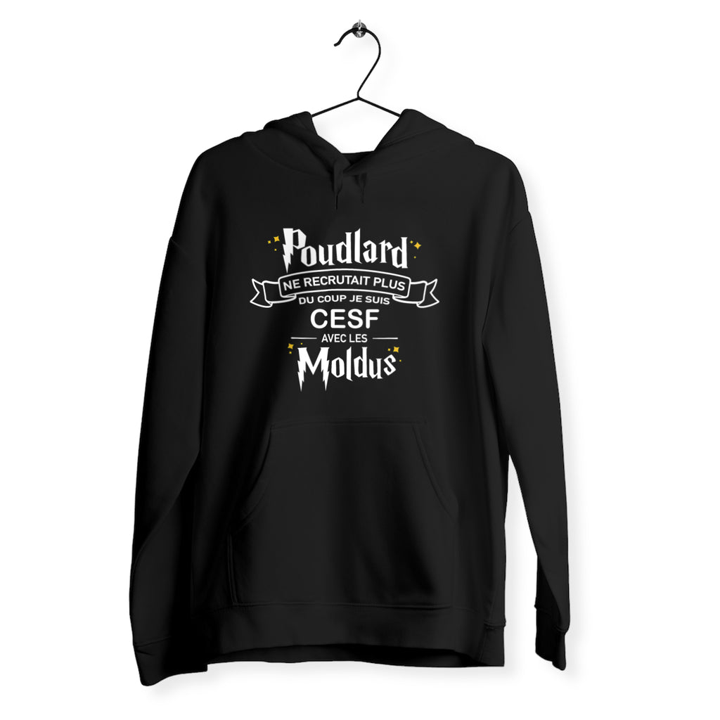 Je suis CESF avec les moldus