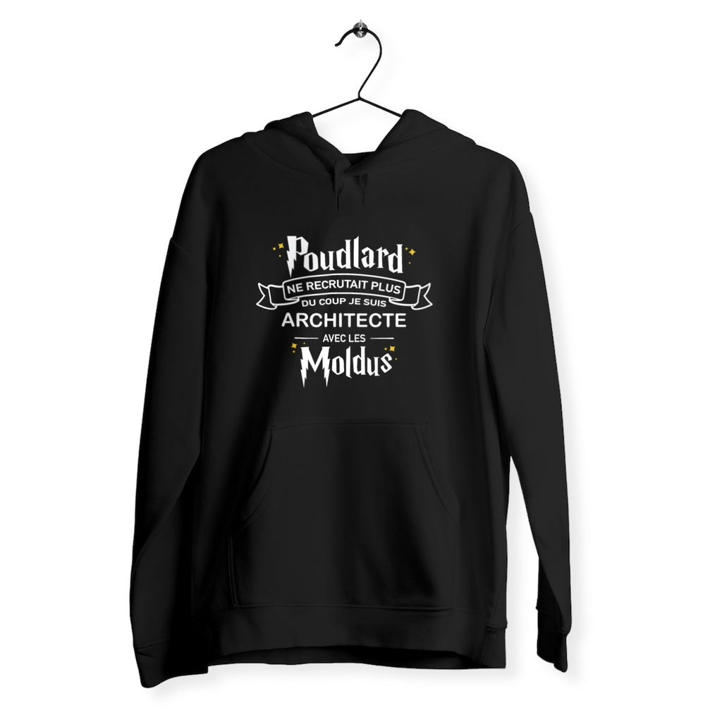 Je suis Architecte avec les moldus