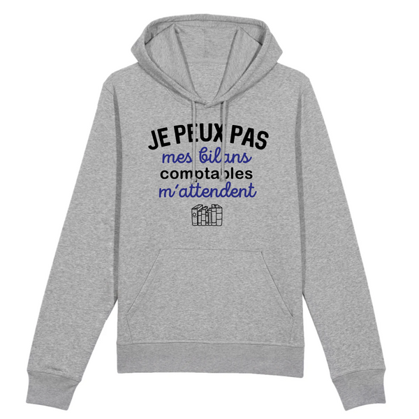 Je peux pas mes bilans comptables m'attendent - Gris