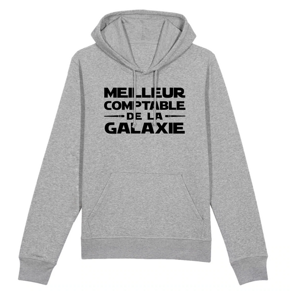 Meilleur Comptable de la Galaxie - Gris
