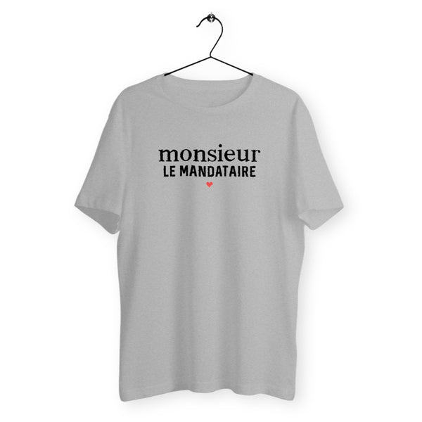 Monsieur le Mandataire - Gris
